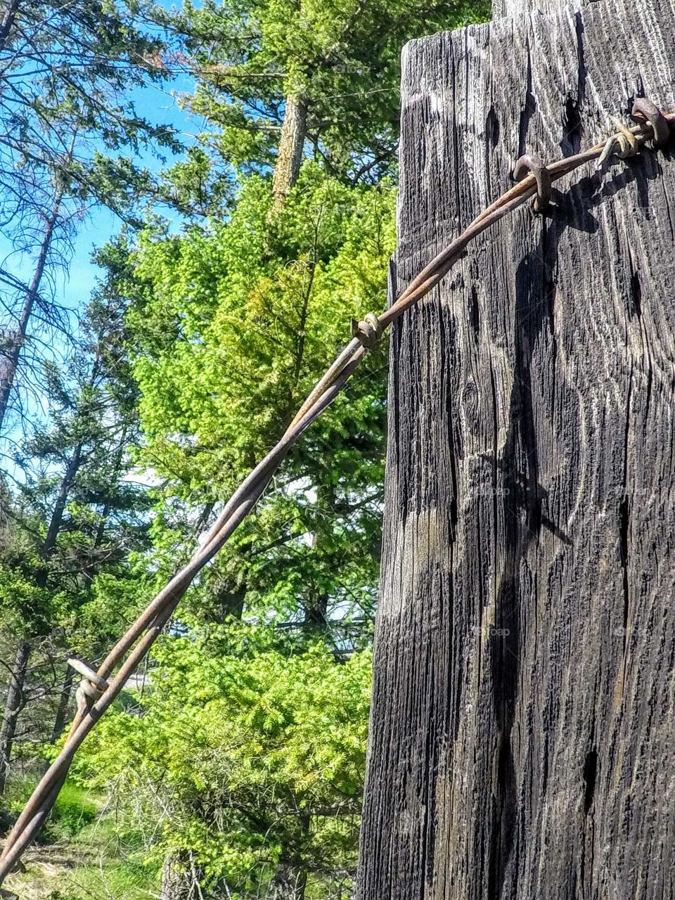 barbed wire on wood fence post