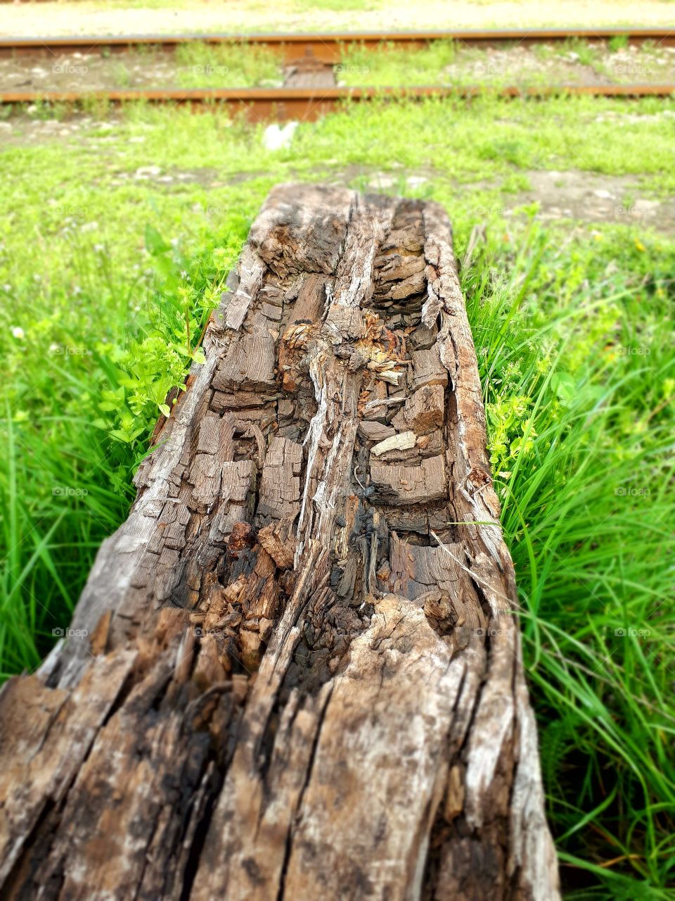 old worn railroad next to the track