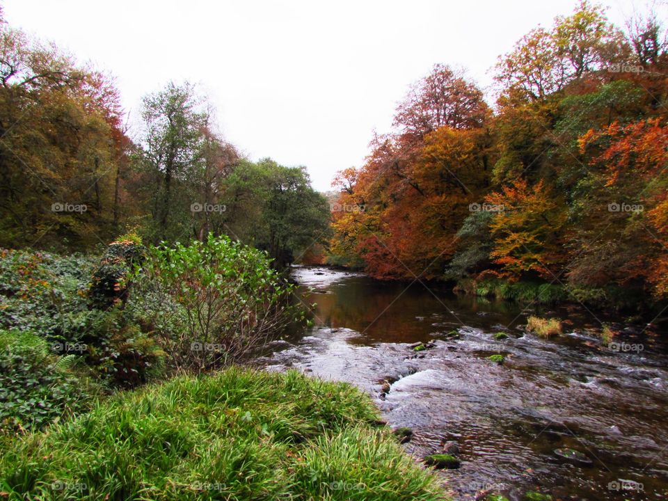 Autumn river