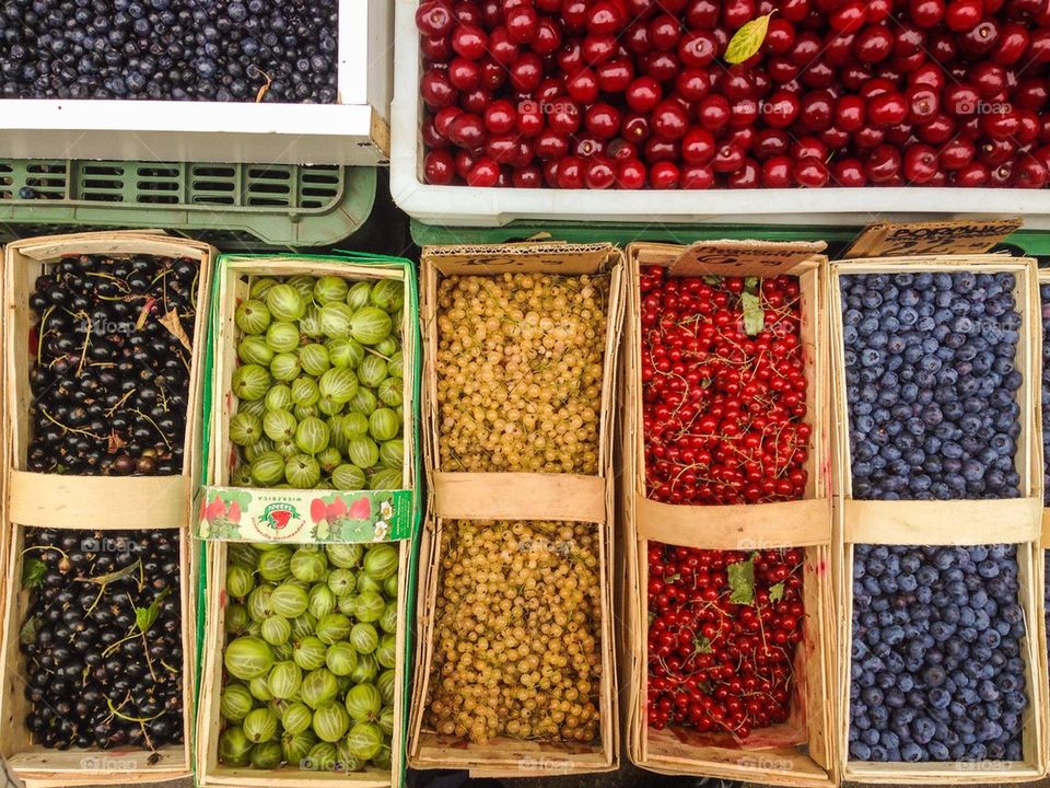 High angle view of berries fruit