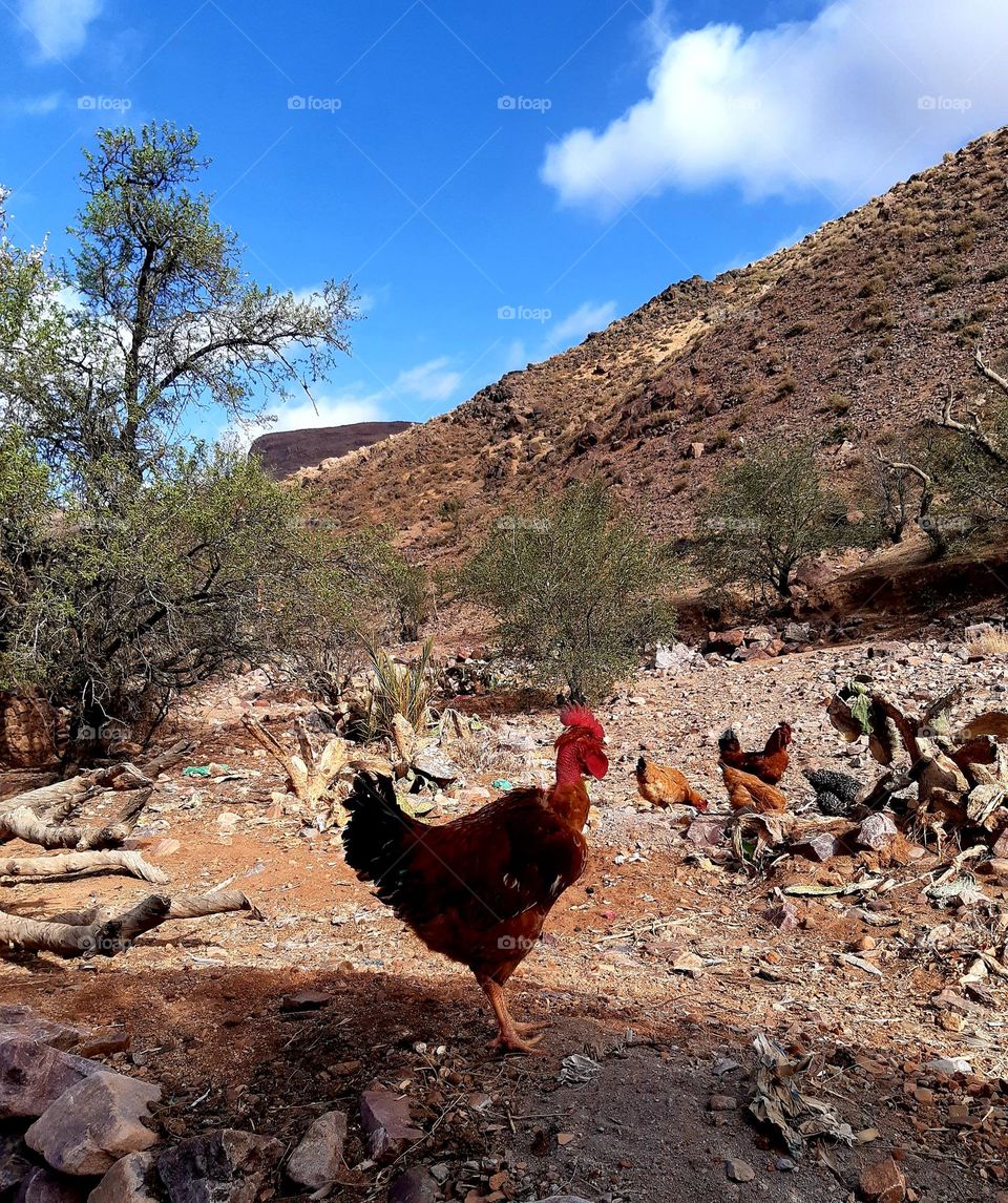 A close-up image of a collection of colorful glass bottles scattered artistically on an old wooden surface. The bottles come in various shades of blue, red, green, and clear glass, reflecting light in a mesmerizing way. The dark background enhances
