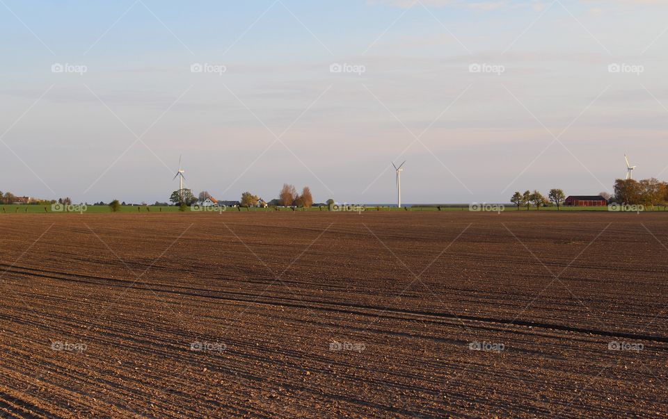 Countryside, Skåne, Sweden.