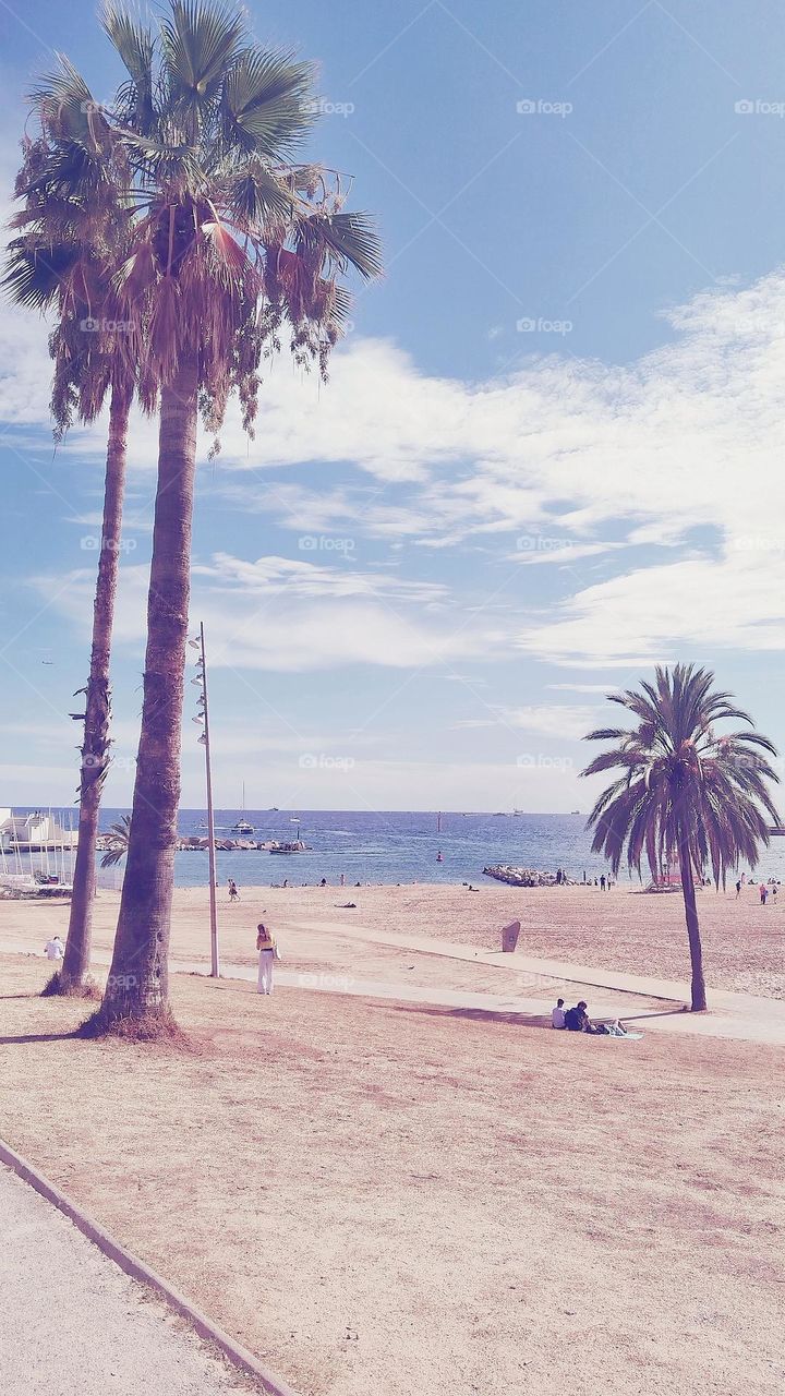La Barceloneta beach