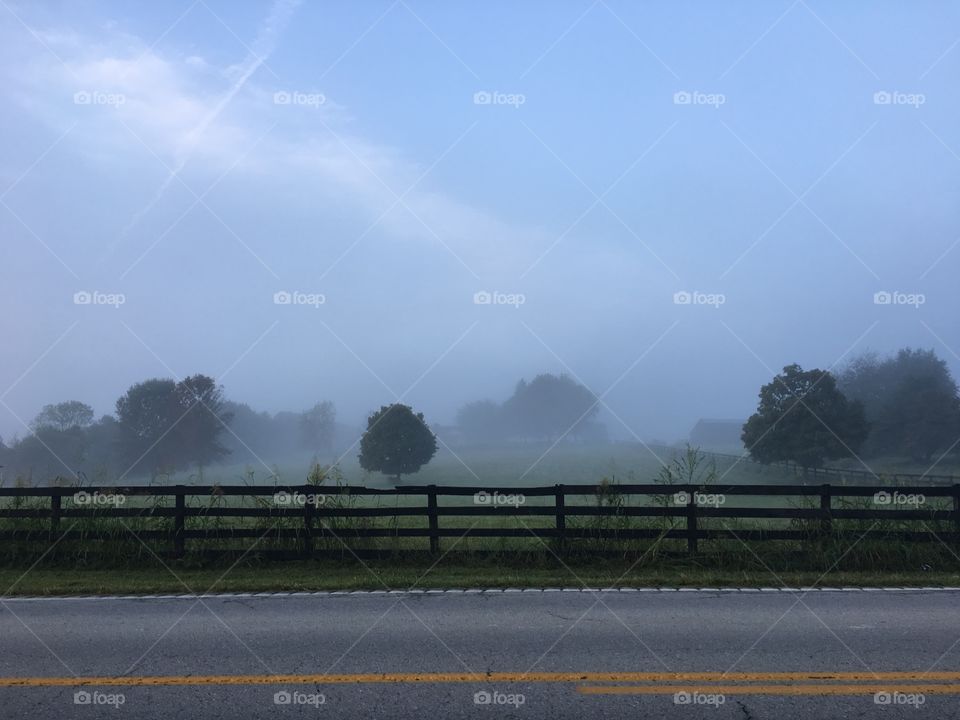 Early morning fog in bluegrass country
