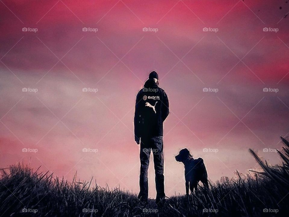 der Hund ist ein Begleiter,der uns daran erinnert jeden Augenblick zu genießen 🖤