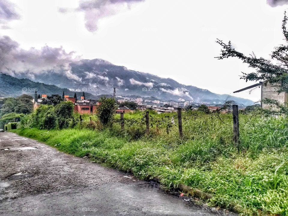 Colombian countryside.