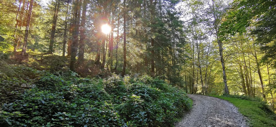 Unterwegs auf den Regenspitz
