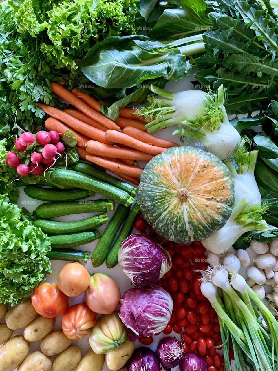 Fresh colorful organic assorted vegetables displayed on a white background seen from above 