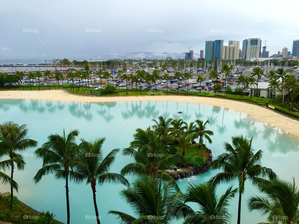 Palm tree reflection on swimming pool