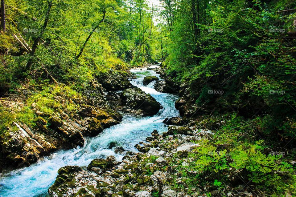 Mountain river. Nature. Green. Vintgar, Slovenia.