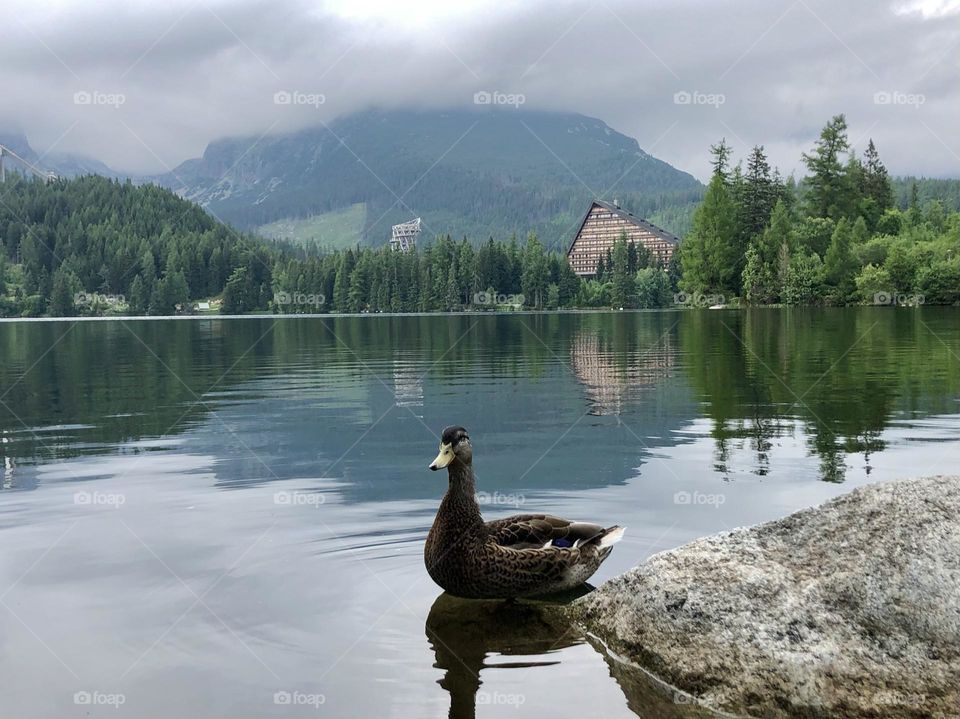 mountain lake scenery