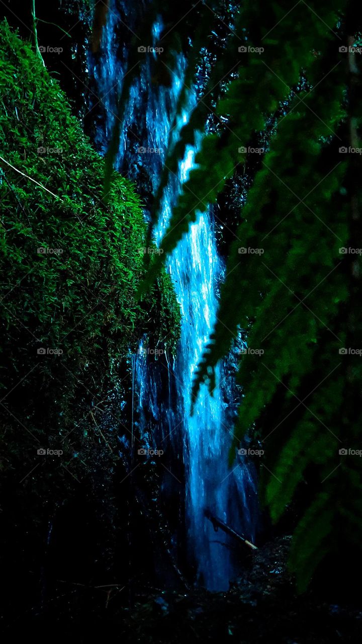 When the nature finds beauty