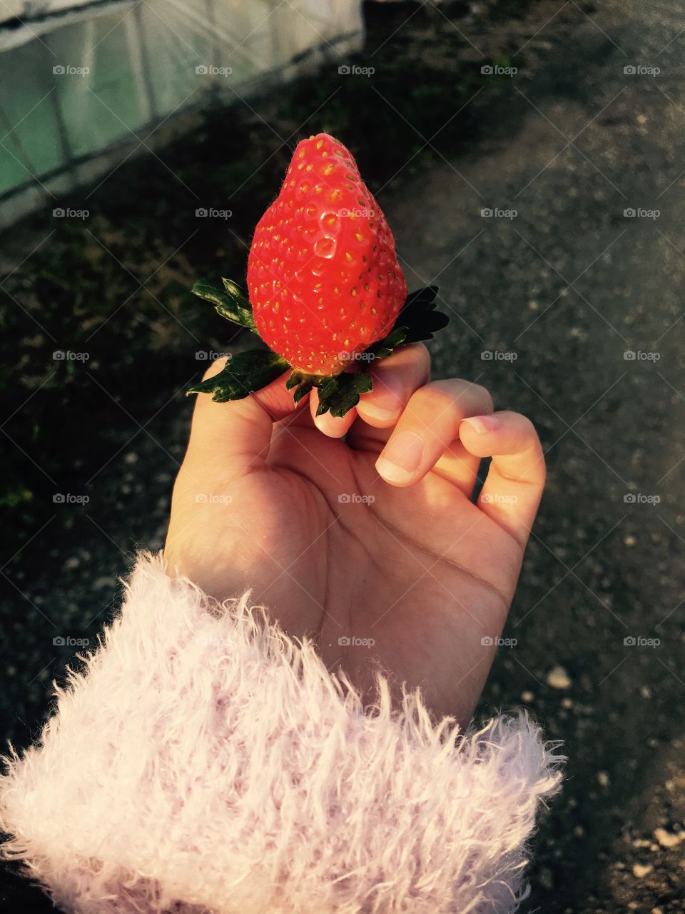 Strawberry <3