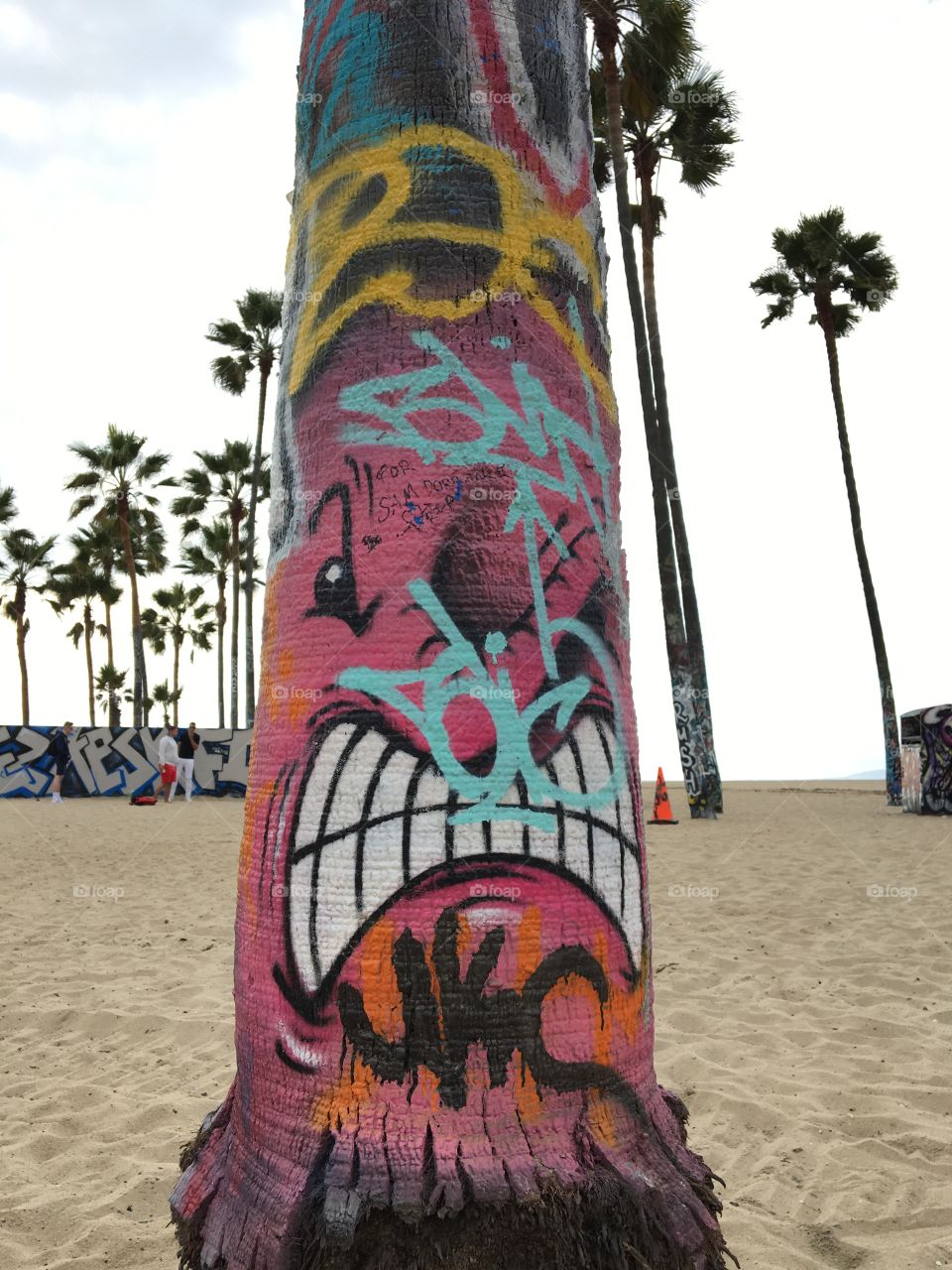Santa Monica art