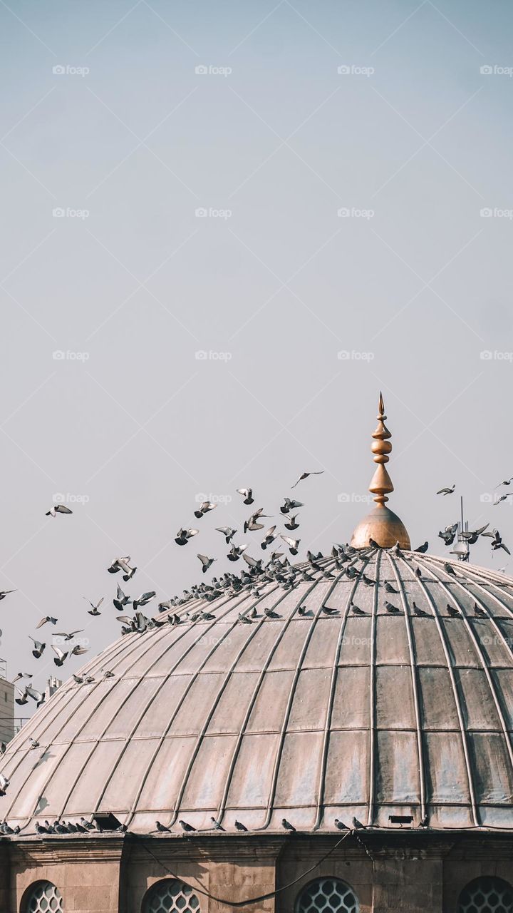 Ancient Artchitecture