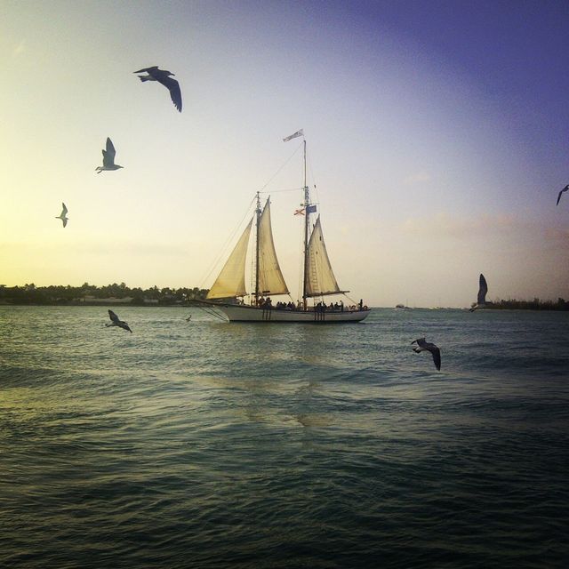 Setting sail