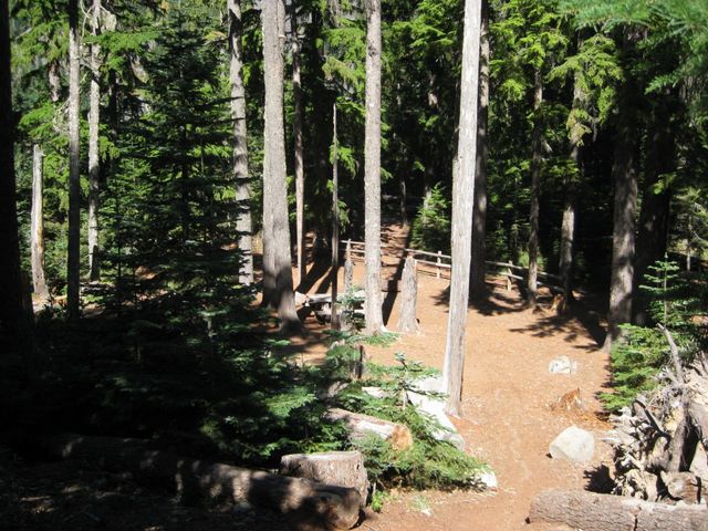 hiking. Hiking Mt Hood