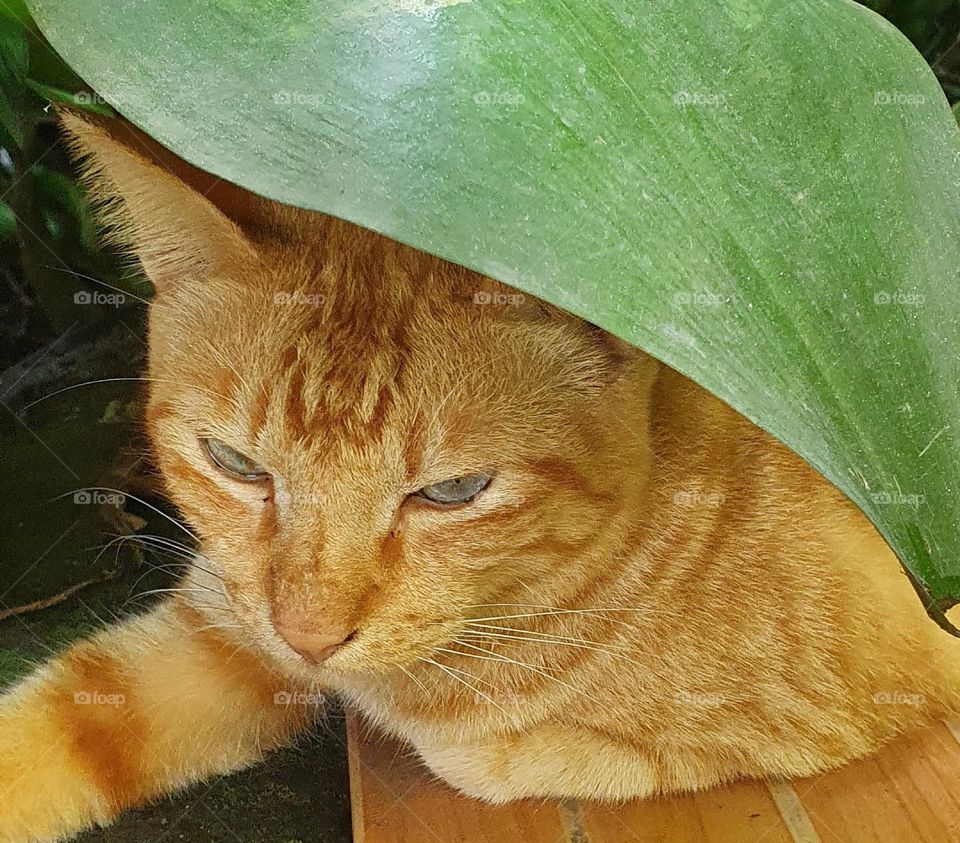 Editors'Choice : Photo of the week