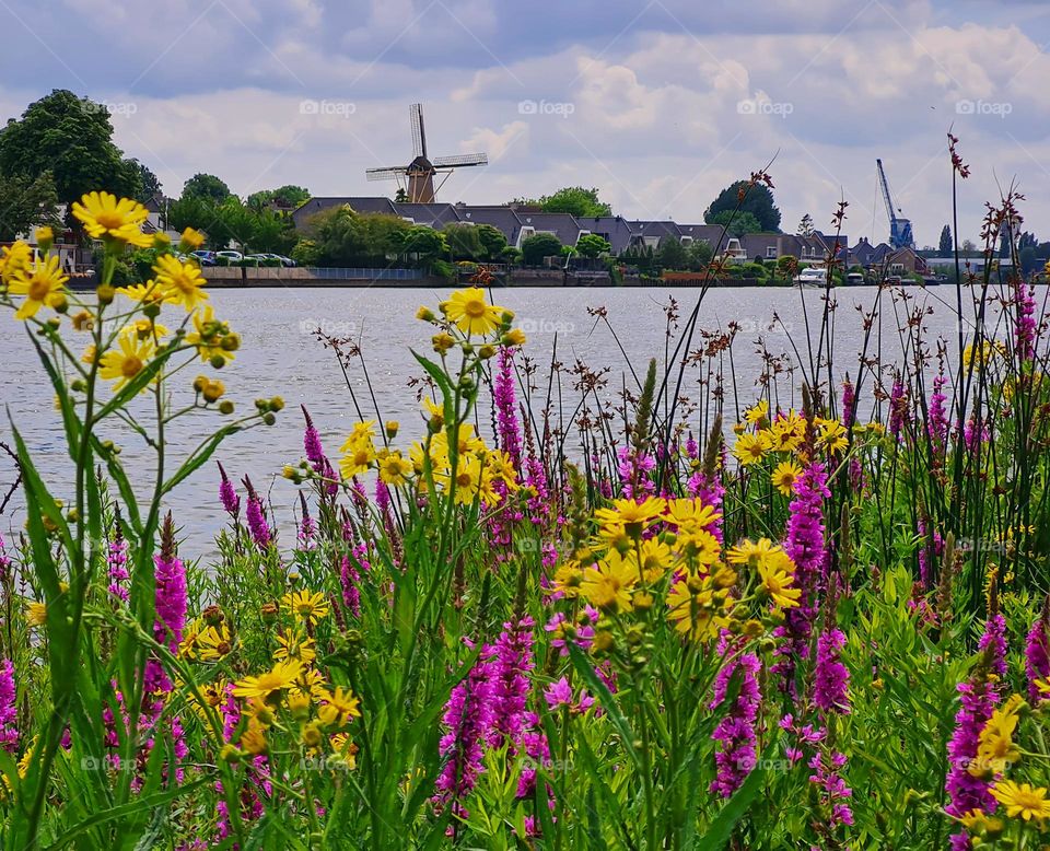 by the river