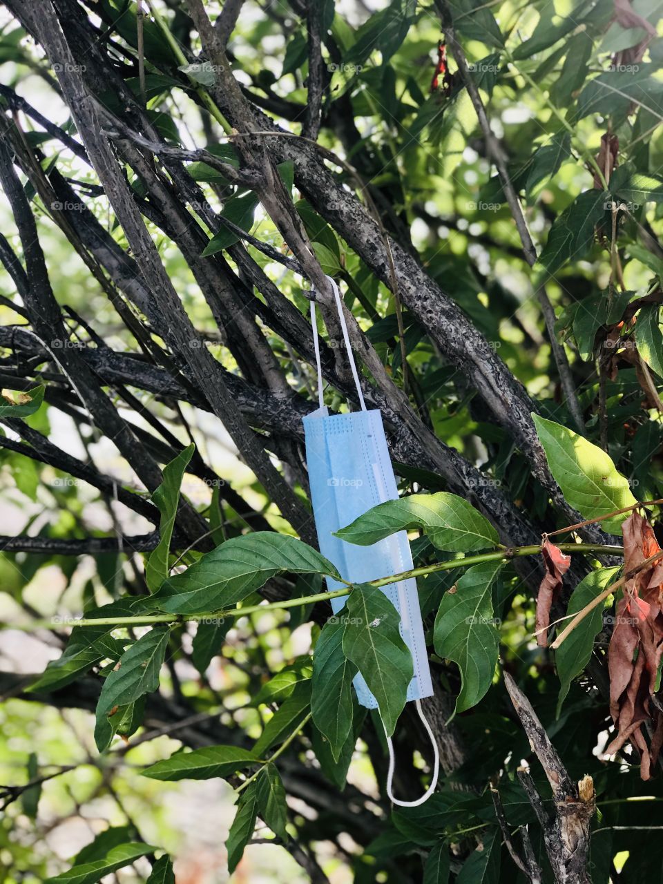 The new normal trash the mask 