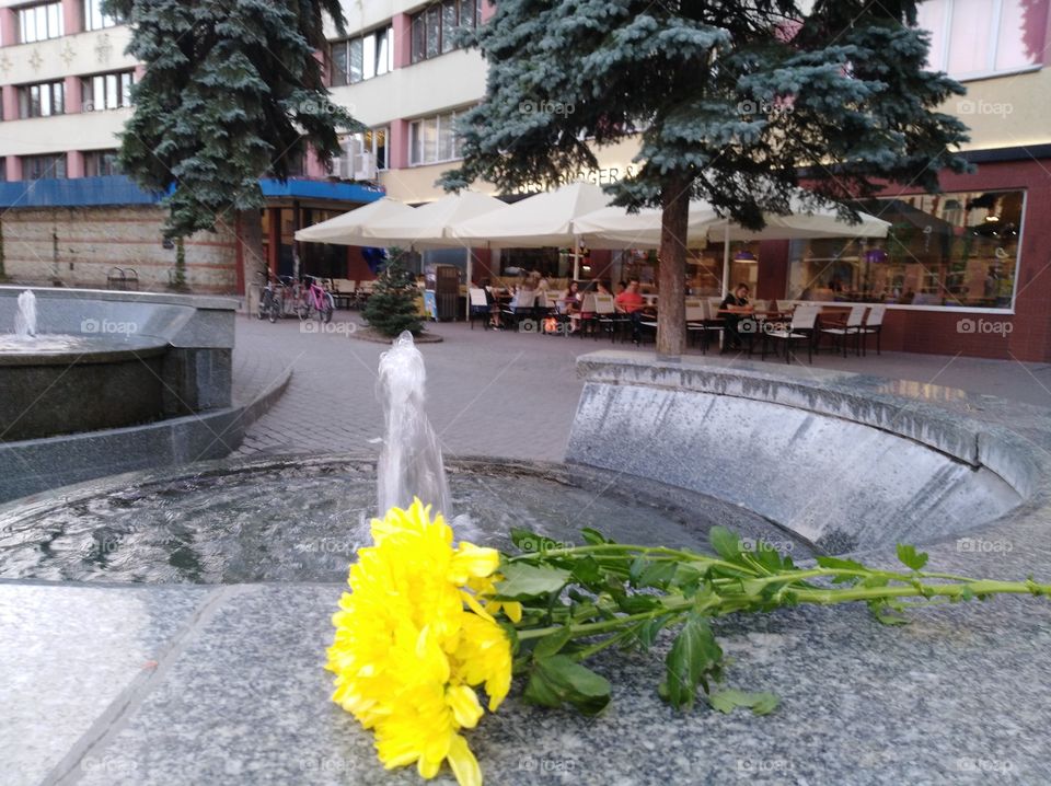 flower with fountain