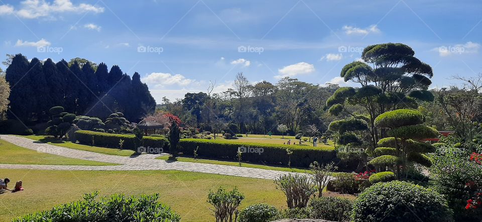 Sunday afternoon in the park