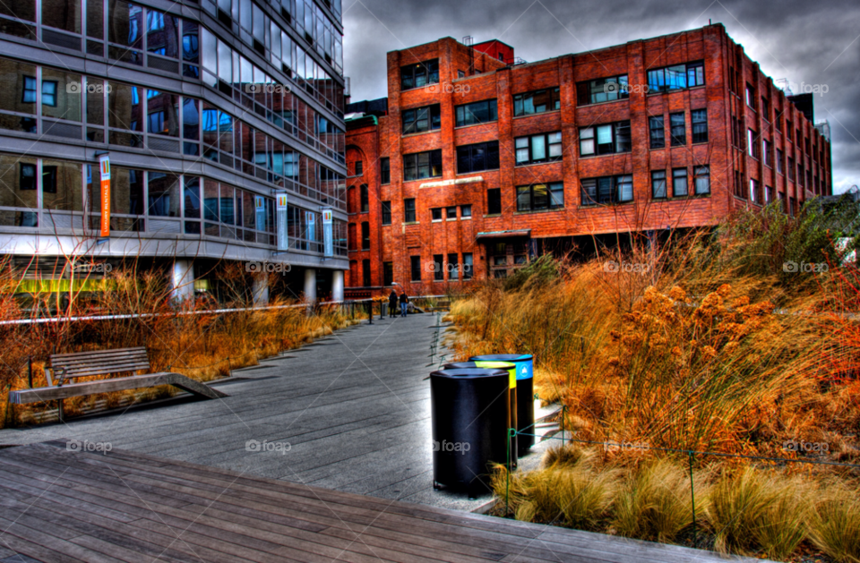 city plants nature travel by cmosphotos