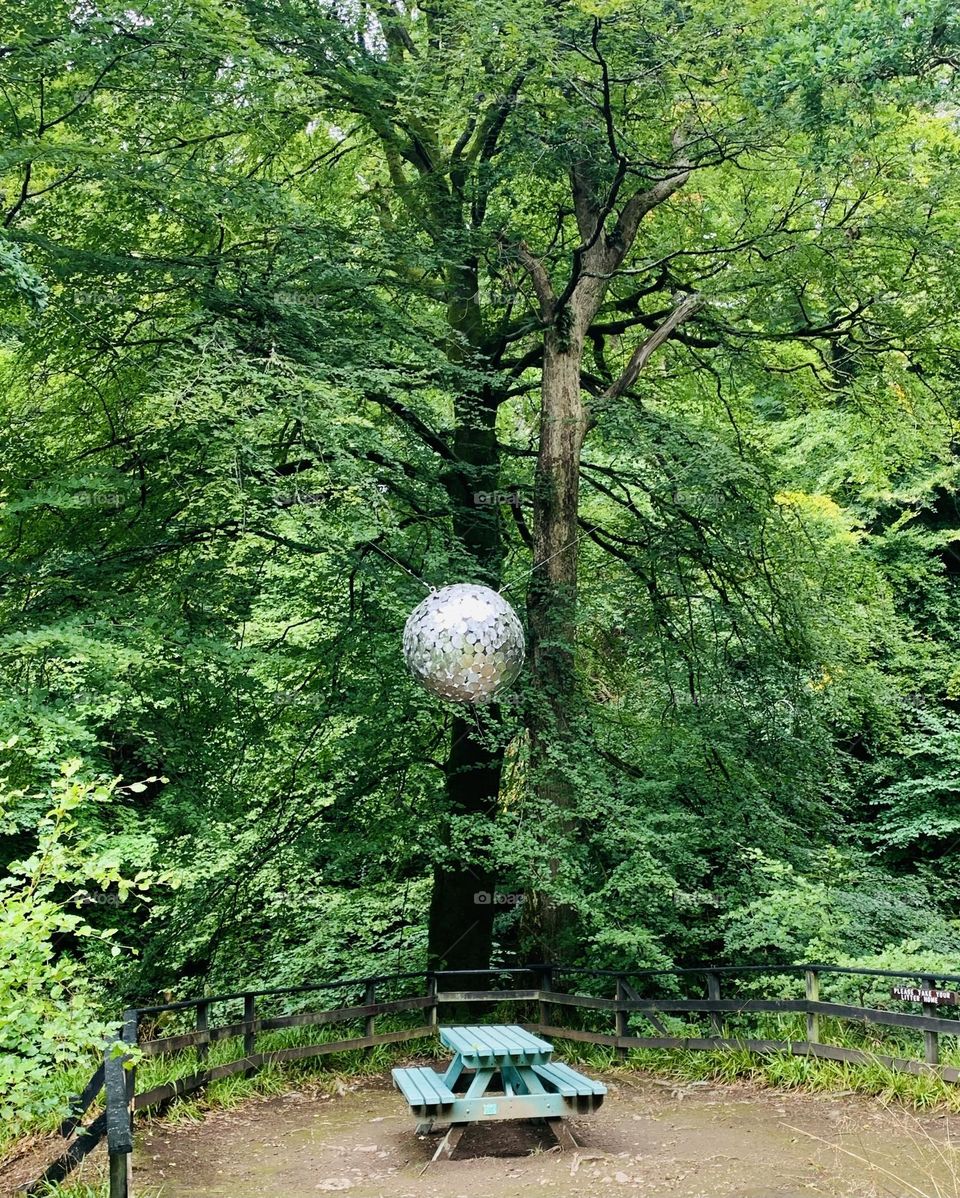 Relaxation in forest greenery