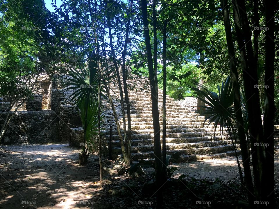 Steps to a Mayan temple hidden in the jungle taken near Coba, Mexico