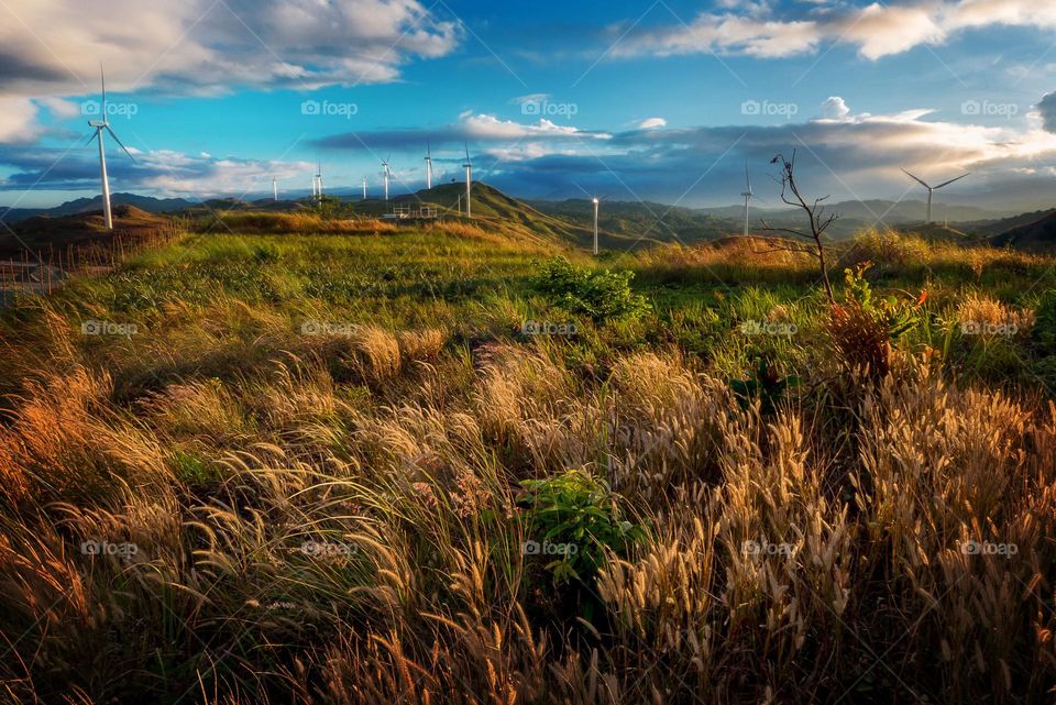 wind farm