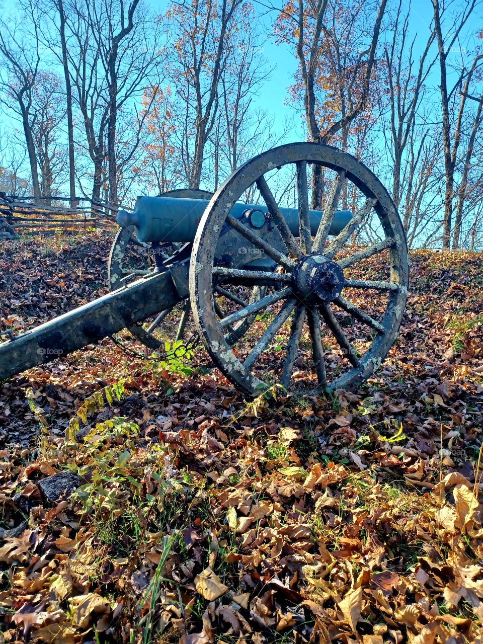 Winter Hike In The South