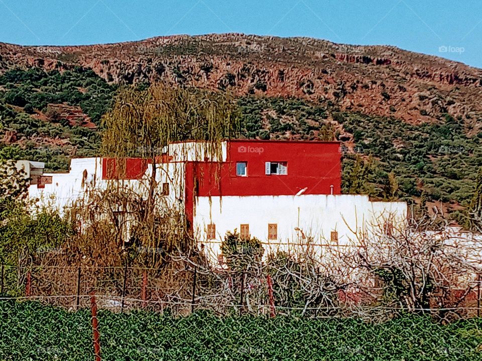 Population between the nature