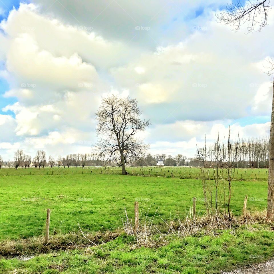 Rural scenery in Flanders