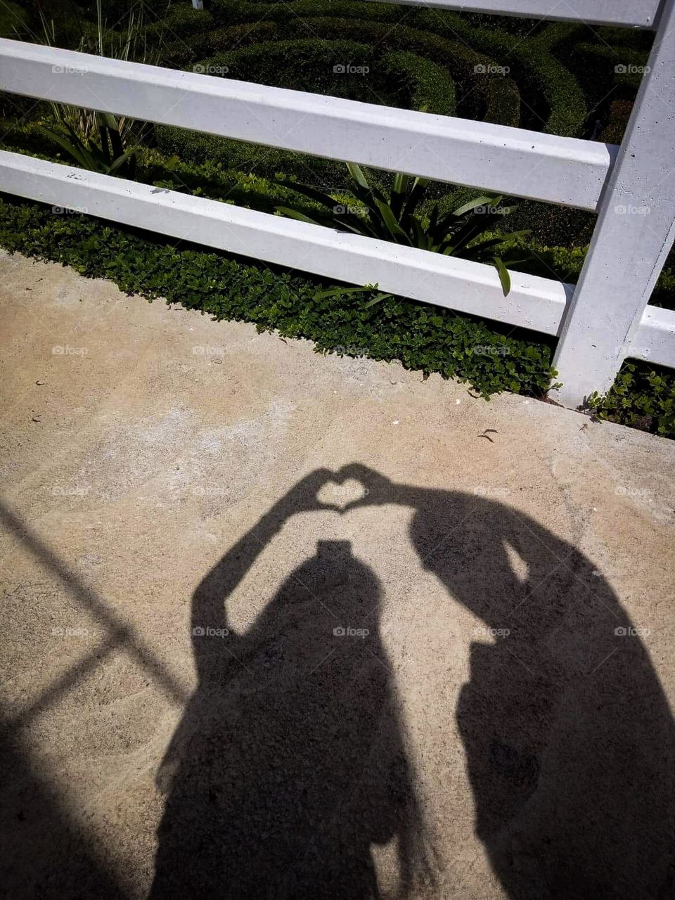 Lovers shadow 
