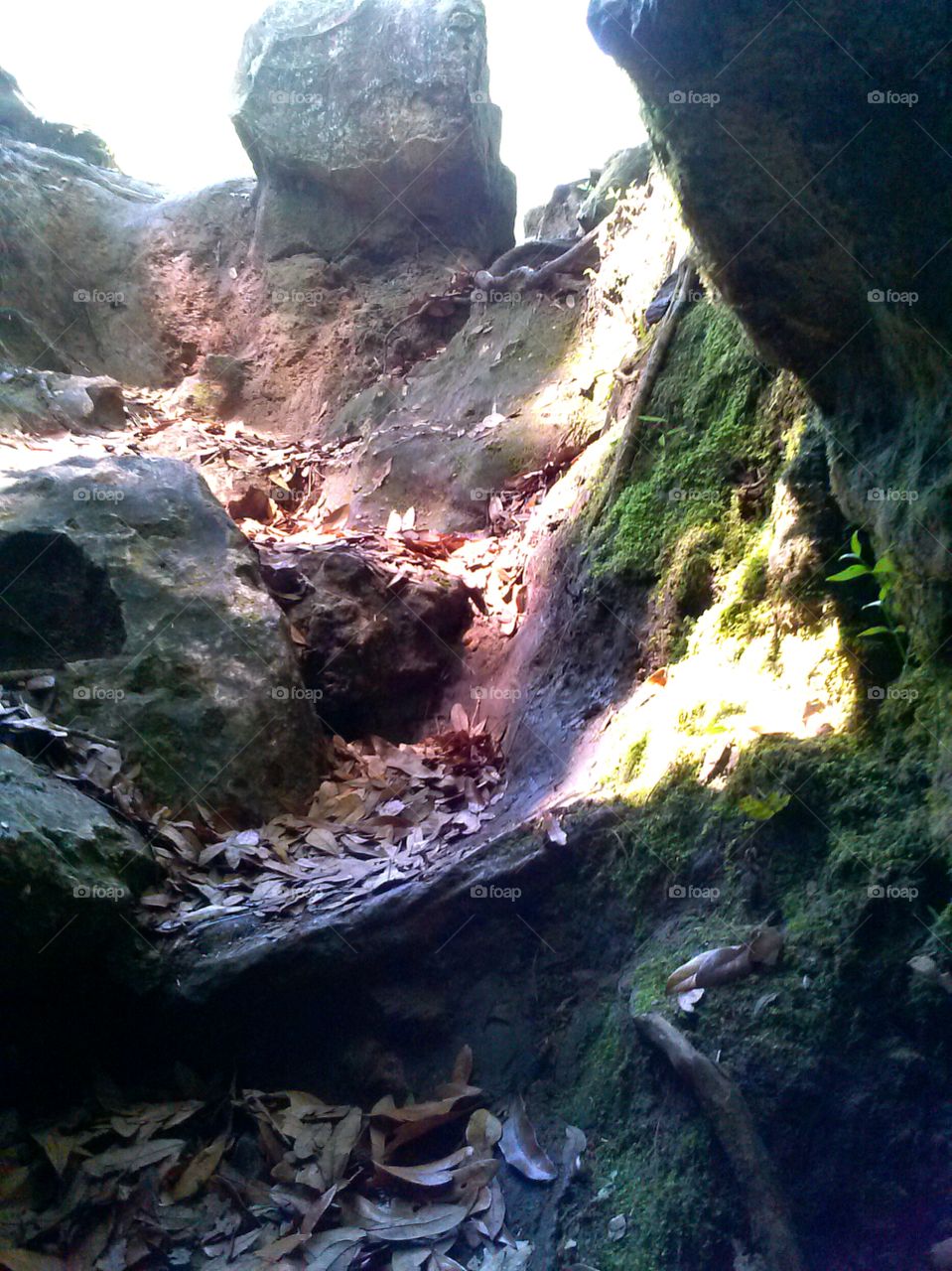 looking up. exiting underground cave