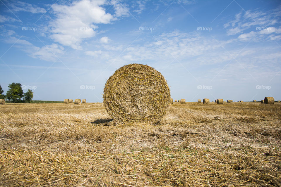 bale of hay