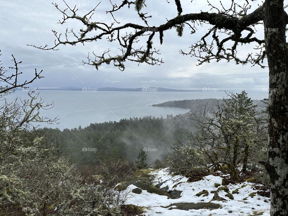 View of the bay from top of the hill 