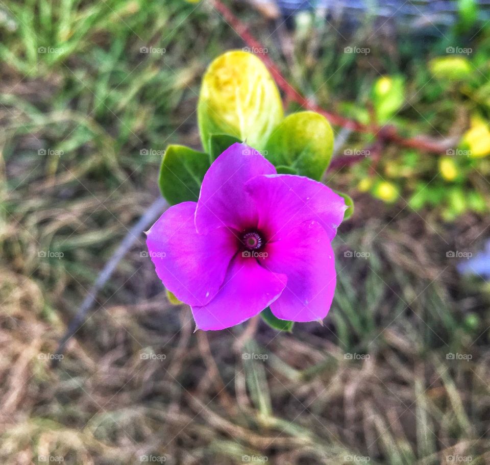 It’s the little things in life that bring out the joys in someone day. 