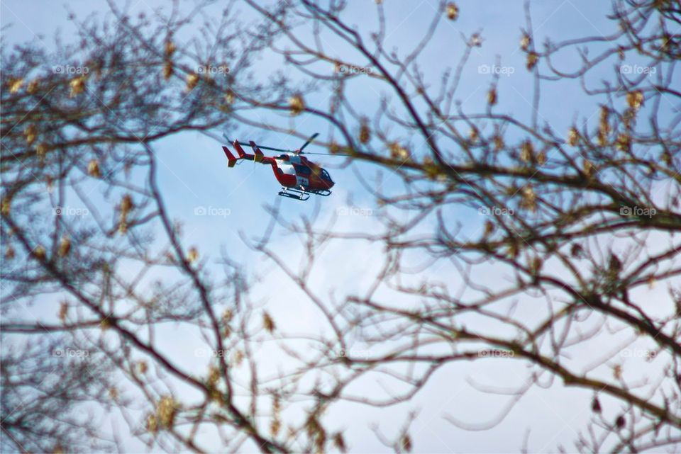 Helicopter Through Bushes