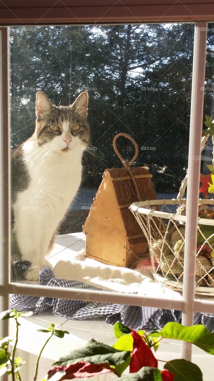 The outside looking in