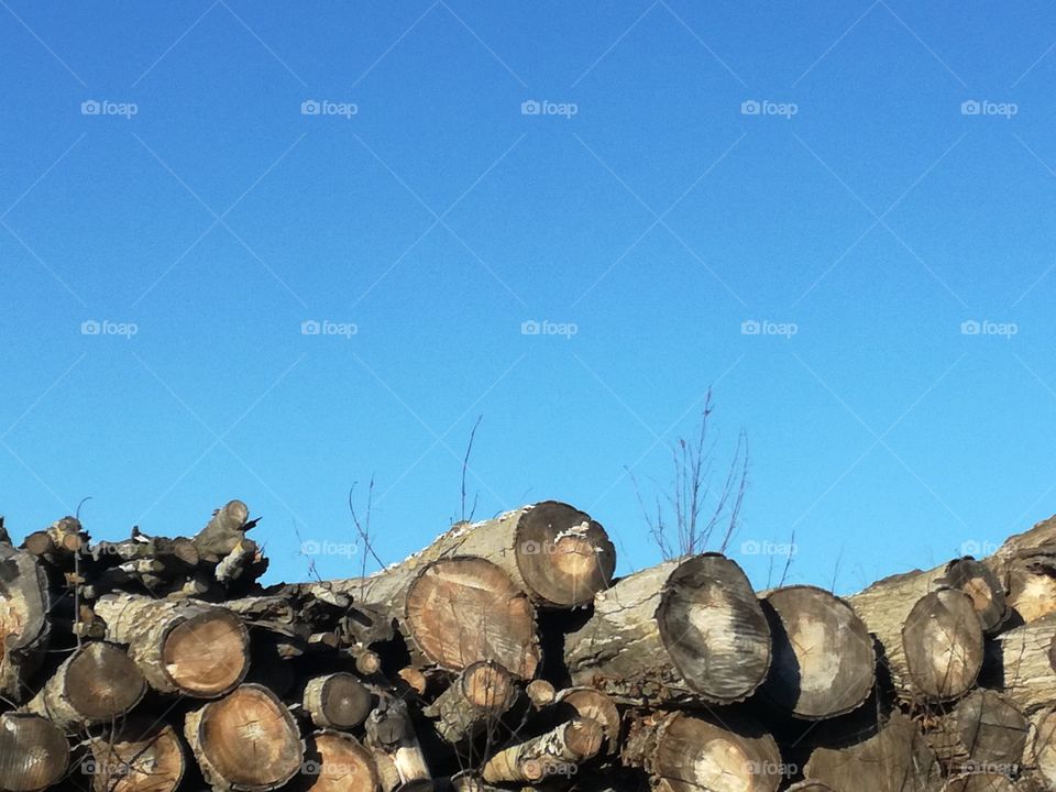 It's a cold winter. Wood to make my home hot