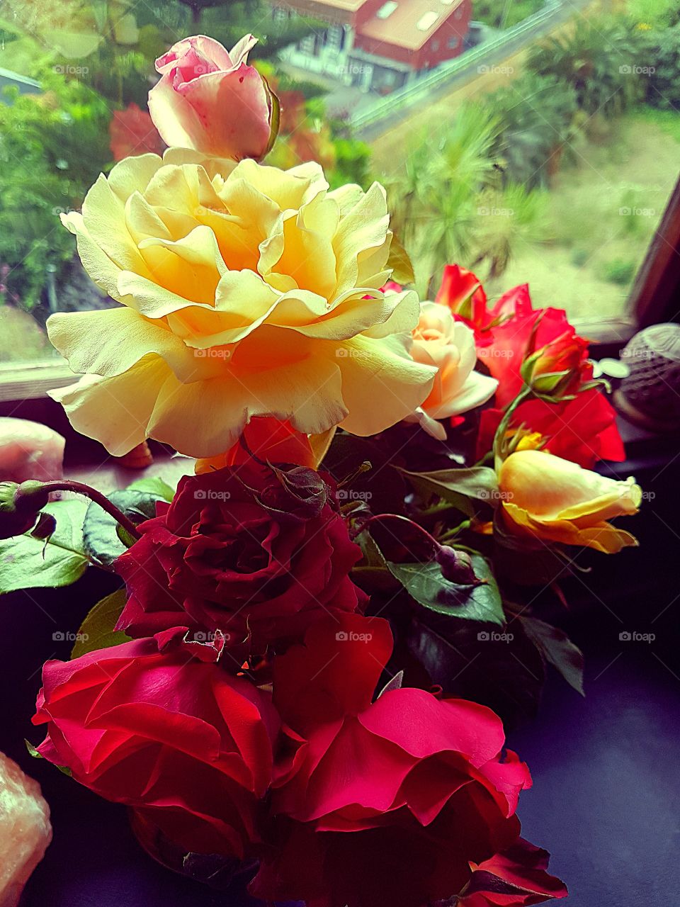 A bunch of Rose's given to my by my son. Hand picked from my cousin's garden for a very lucky mother.