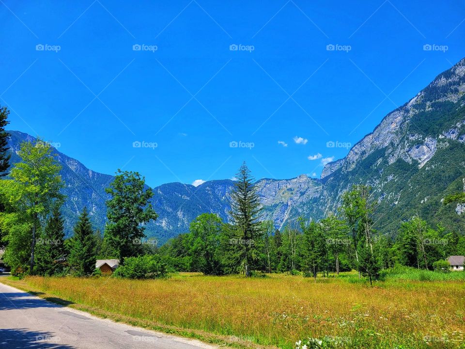 Scenic view of green Alps mountains against blue sky and beautiful blooming flowers in Slovenia. Summer time. Vacation. Landscape