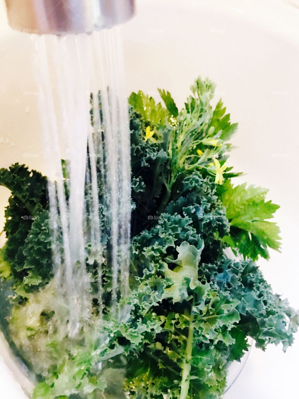 Washing kale