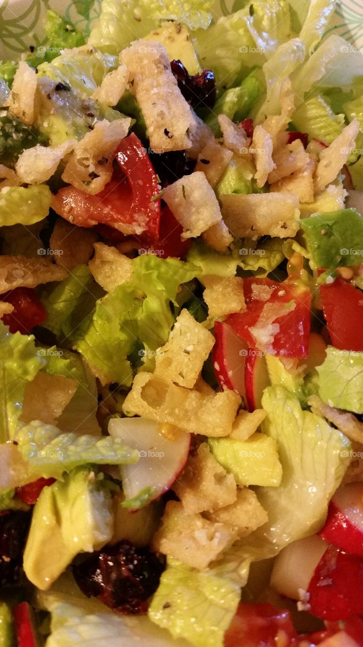 Garden Salad for Lunch