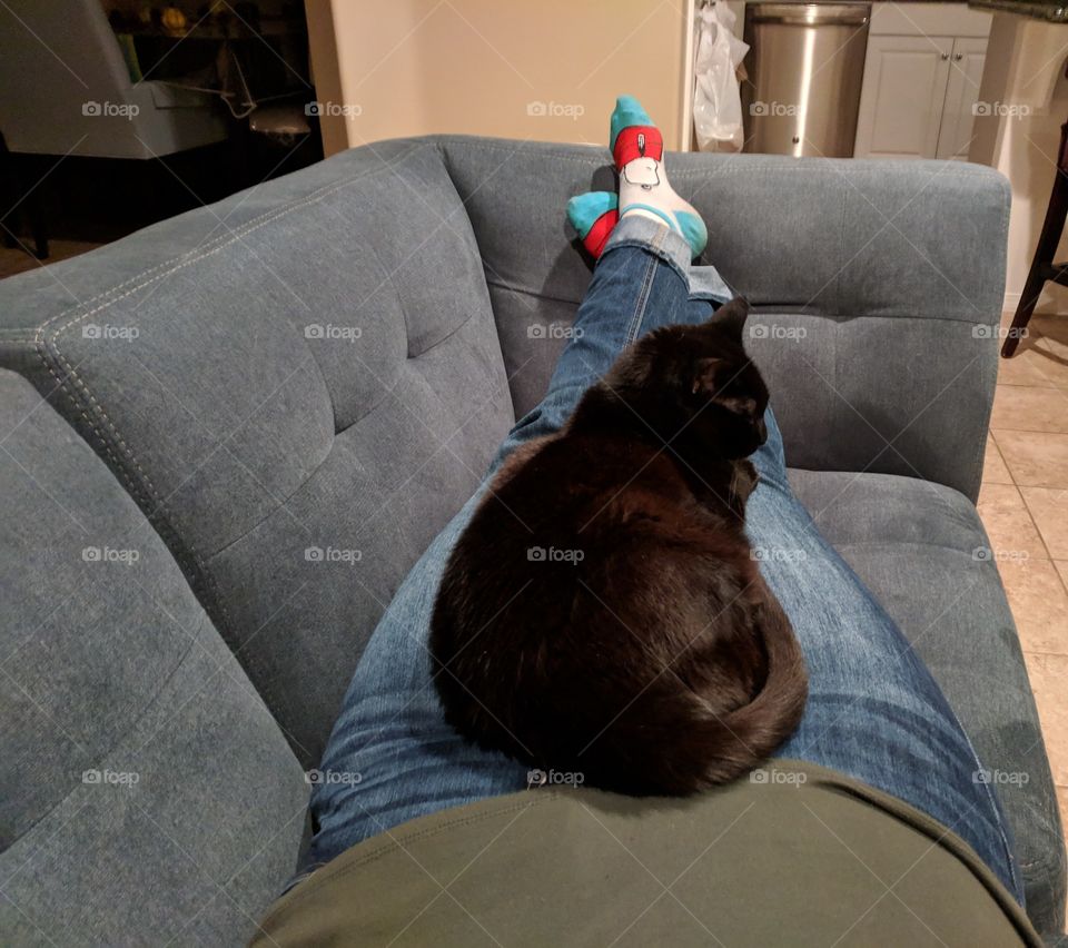 This cat can sleep anywhere!