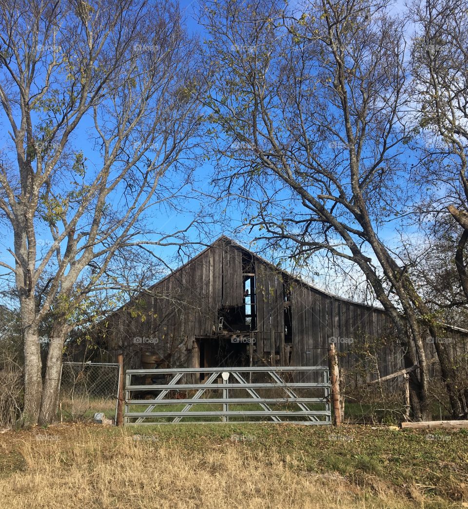 Old barn 