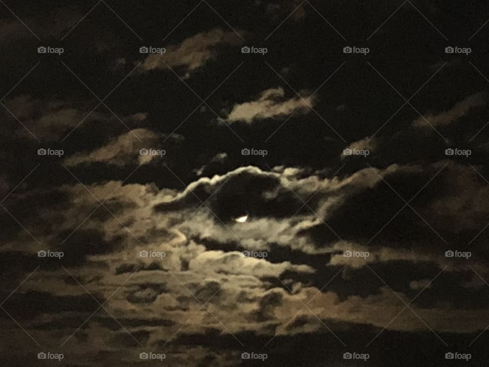 Marvelous night for a moon dance 