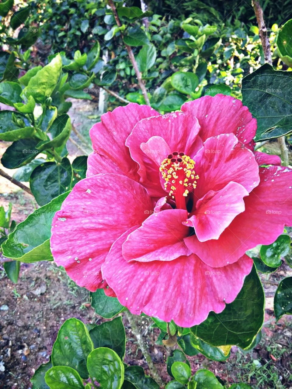 Delicadas e encantadoras curvas e tons degradê.