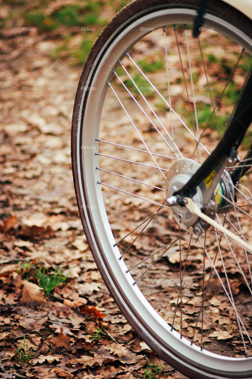 Bicycle in the nature 